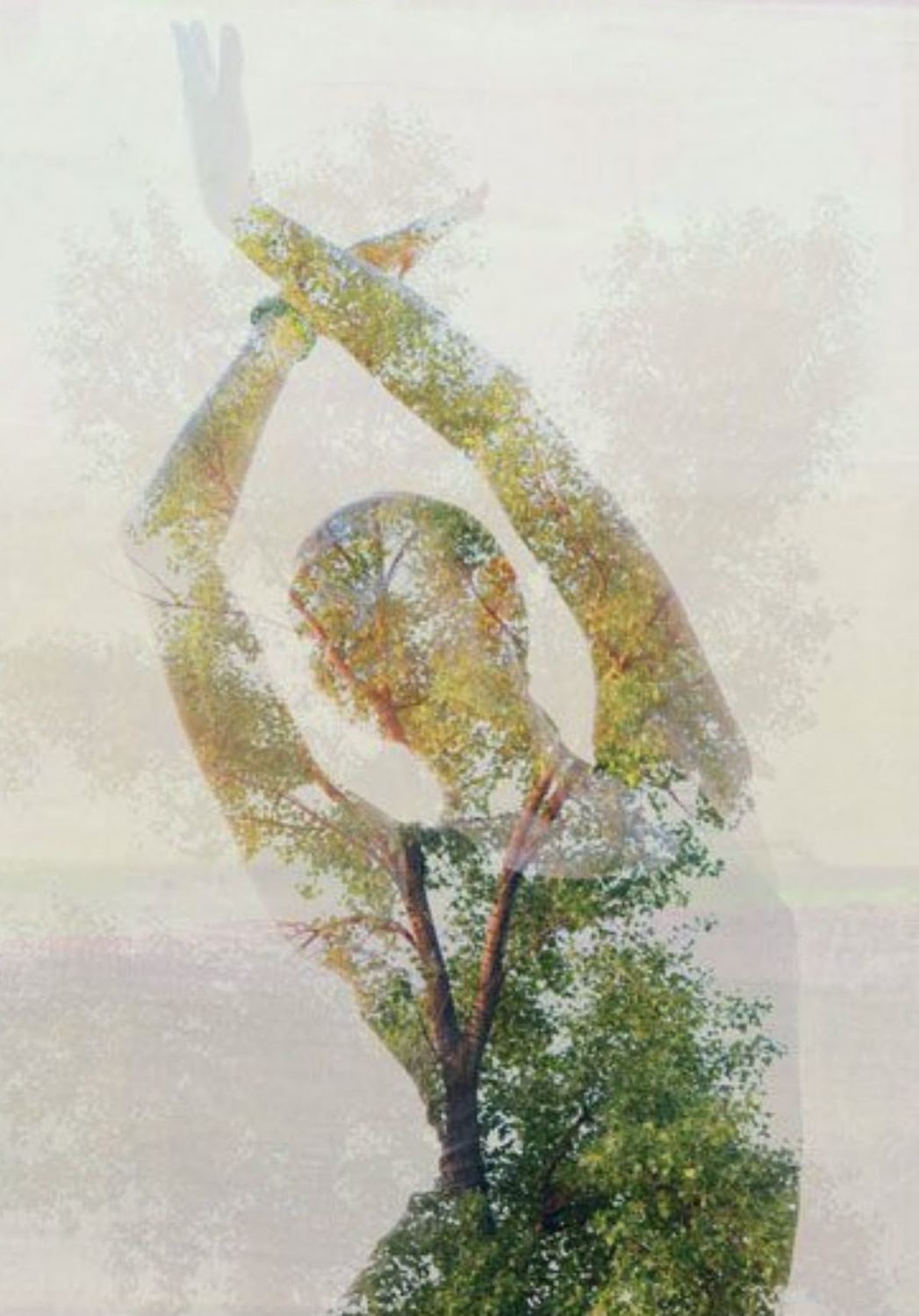 Abstract double-exposure of a tree, symbolising growth and reconnection